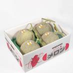 ふるさと納税 富良野市 富良野メロン4〜5玉入り 計8kg