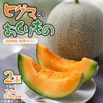 ふるさと納税 富良野市 【2026年発送先行受付】ヒグマのおくりもの 富良野メロン (赤肉)2玉 計3.2kg以上