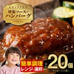 ふるさと納税 泉佐野市 特製ソースのハンバーグ 大満足 20個×160g 099H2887