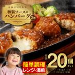 ふるさと納税 泉佐野市 特製ソースのハンバーグ 2種20個(プレーン 10個/チーズ 10個)099H2889