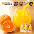 柑橘ジュース詰め合わせ 下津町産の果汁100%ストレートジュ…
