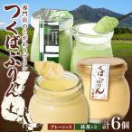 つくばぷりん プレーン &amp; 抹茶ぷりん 各3個