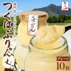 熨斗付き つくばぷりん プレーン 10個