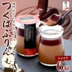 熨斗付き つくばぷりん ショコラ ヴィノ プディング 6個