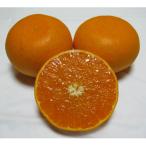 小豆島せとか 約2.8kg