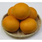 甘夏柑 約5kg