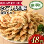 鹿児島黒豚生餃子セット 12個入×4パック 計48個