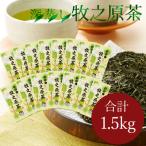 ふるさと納税 牧之原市 【1.5kg!】深蒸し 牧之原茶100g入×15袋　お茶農家直送　静岡茶