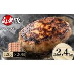 ふるさと納税 白老町 北海道産 白老豚ハンバーグ 120g×20個セット