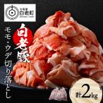 白老豚 モモ ウデ こま切れ 2kg