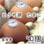 とうや湖 卵 40個