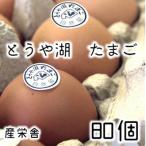 とうや湖 卵 80個