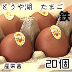 とうや湖 卵 鉄 20個