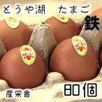 とうや湖 卵 鉄 80個