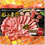 筑後船小屋牛 三角バラ焼肉