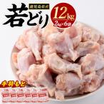 まつぼっくり 若どり手羽元12kg_ matu-7220