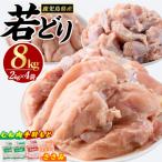 まつぼっくり 若どりムネ肉4kg ささみ2kg 手羽元2kgセット_matu-7215