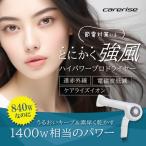 ケアライズイオン プロドライヤー 強風タイプ