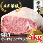 A5等級 サーロイン ブロック 4kg
