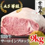 A5等級 サーロイン ブロック 9kg