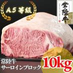 A5等級 サーロイン ブロック 10kg