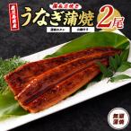 ふるさと納税 指宿市 鹿児島県産うなぎ蒲焼 無頭背開き2尾(012-1667)