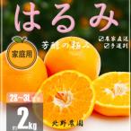 訳あり はるみ 和歌山 有田 2S~3Lサイズ混合