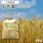 食物繊維のもち麦 きはだもち 4kg