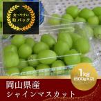 産シャインマスカット バラ粒 1kg