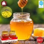 日本蜜蜂 100% 純粋 はちみつ 非加熱 240g×2