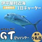 沖釣りチャーター 上級者向け1日プラン