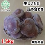 湘南しいたけの生しいたけ 規格外品詰め合わせ 1.5kg