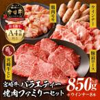 ふるさと納税 宮崎市 内閣総理大臣4連覇 宮崎牛 牛肉 牛ヒレがメイン バラエティー 4種ファミリー 焼肉セット 850g
