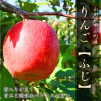 ふるさと納税 中山町 令和7年産先行受付 山形県中山町産ふじりんご<秀品> 5kg