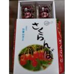 ふるさと納税 中山町 『令和8年産先行受付』山形県中山町産<紅さやか>秀品 Lサイズ以上 約800g(200g×4P)