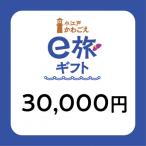 旅先納税 小江戸かわごえe旅 寄附額100000円