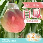 ふるさと納税 九度山町 先行受付! 桃の王様【白鳳】 特秀品 約2kg 6〜9個入
