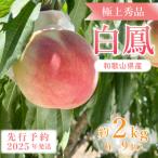 ふるさと納税 那智勝浦町 先行受付! 桃の王様【白鳳】 特秀品 約2kg 6〜9個入