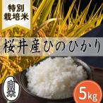 米 ヒノヒカリ M-AE41. 白米 粟原産