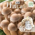 fu.... налог столица Tanba блок крупный Tanba симедзи камень .. cut 6 пакет комплект 