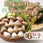 fu.... налог столица Tanba блок большой чёрный книга@ симедзи Tanba симедзи набор 