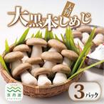 fu.... налог столица Tanba блок большой чёрный книга@ симедзи большой размер 3 упаковка комплект 