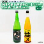 月の井 純米吟醸続撃破率百二十% 日本酒仕込梅酒セット