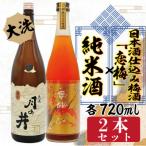 月の井 純米酒720ml 日本酒仕込み梅酒