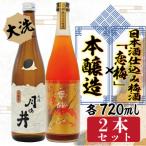 月の井 本醸造 日本酒仕込梅酒 恋梅 セット
