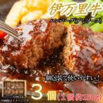 ふるさと納税 伊万里市 【伊万里牛100%使用】伊万里牛デミハンバーグ(150g×3個)個包装(伊万里市)