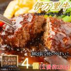 ふるさと納税 伊万里市 【伊万里牛100%使用】ちょっと贅沢おうちごはん!伊万里牛デミハンバーグ 150g 4個 個包装