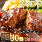 ふるさと納税 伊万里市 【伊万里牛100%使用】ちょっと贅沢おうちごはん!伊万里牛デミハンバーグ 150g 30個 個包装