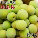 南高梅約5kg サイズ混合