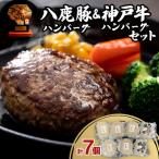 ふるさと納税 養父市 八鹿豚ハンバーグ&神戸牛ハンバーグセット